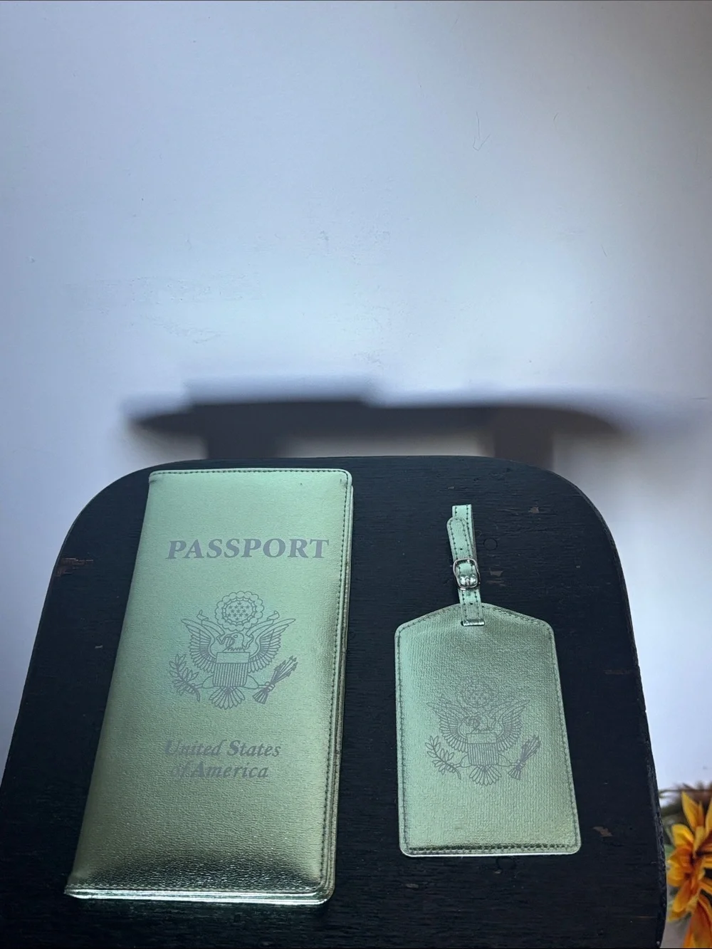 SET Metallic Green Passport Holder & Luggage Tag